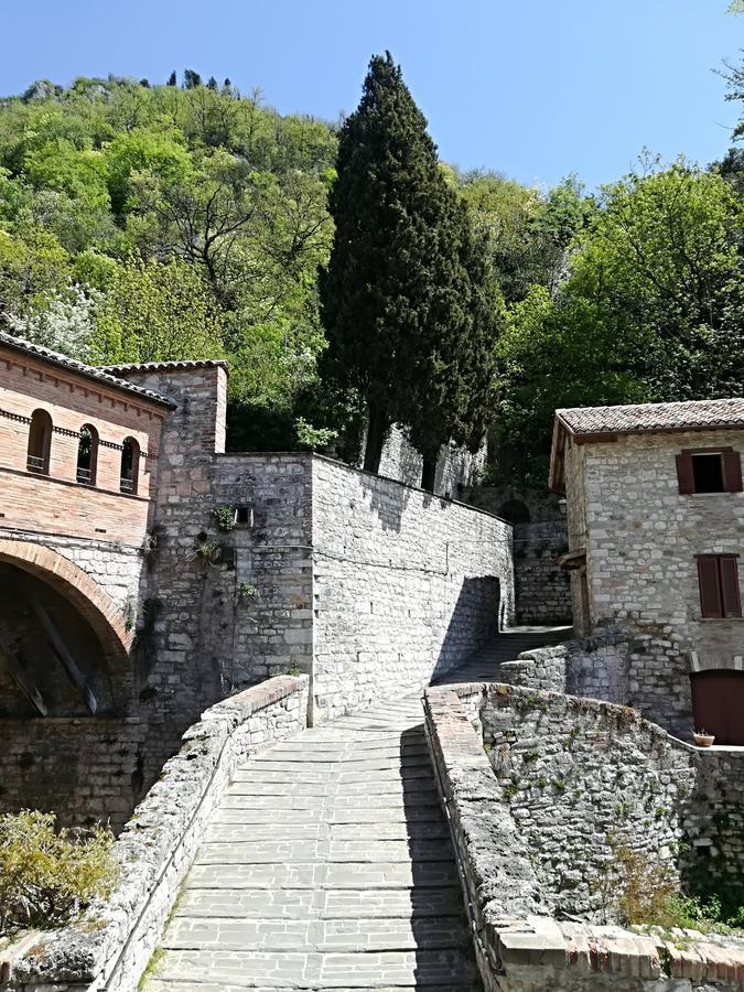 Civico 10 Hotell Gubbio Exteriör bild