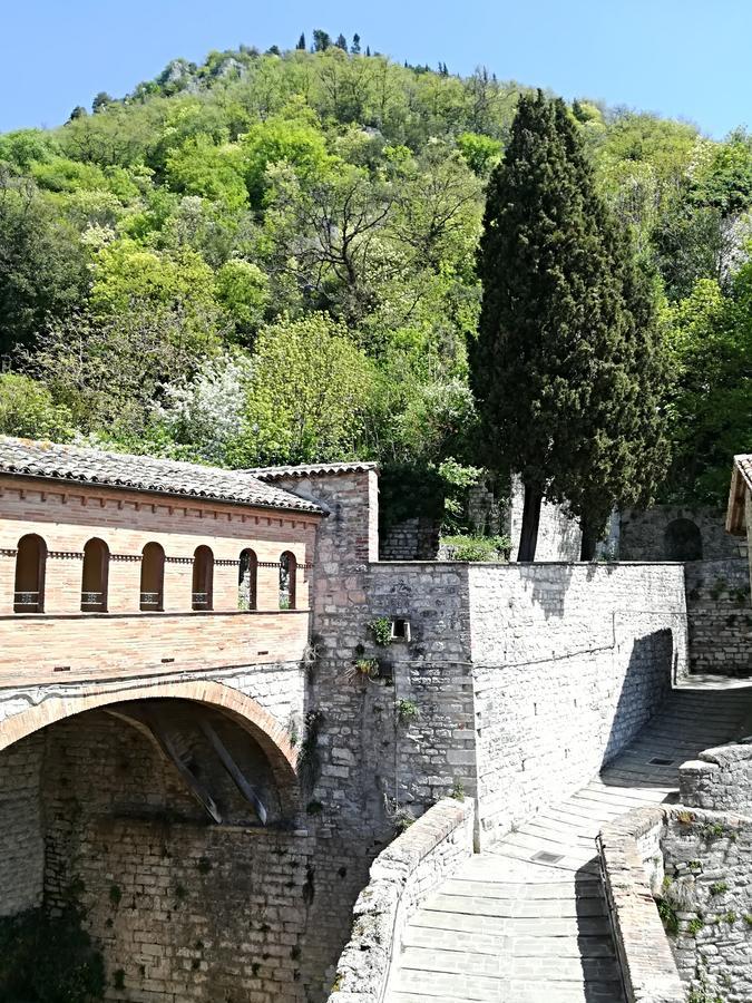 Civico 10 Hotell Gubbio Exteriör bild